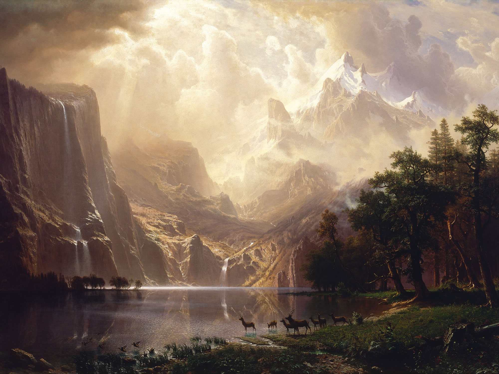 Among the Sierra Nevada